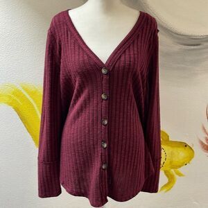 Absolutely Famous cardigan sweater.  Size Large.